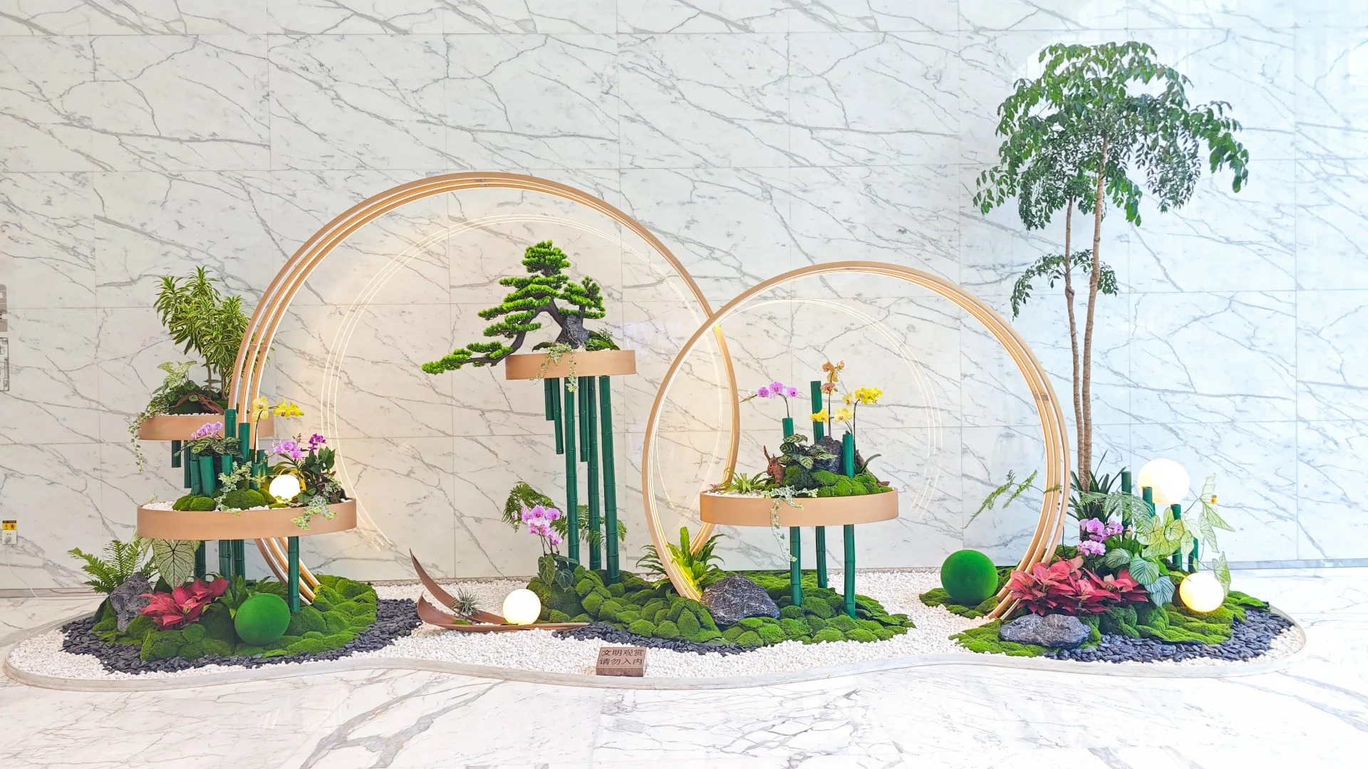 专业花卉租摆，宁波鄞州的绿色魅力之选